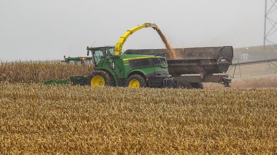 Bringing in the harvest