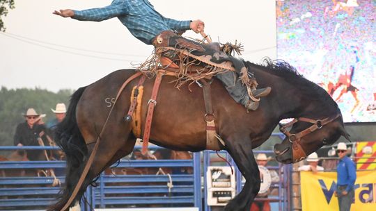 Cedar County Rodeo