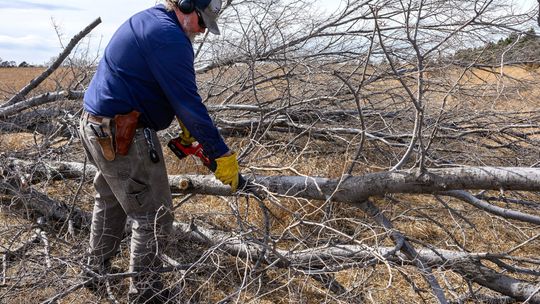 Cutting through the noise