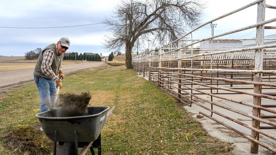 Early spring clean up