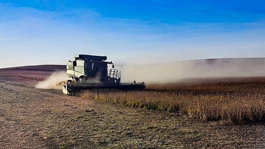 Harvest Time