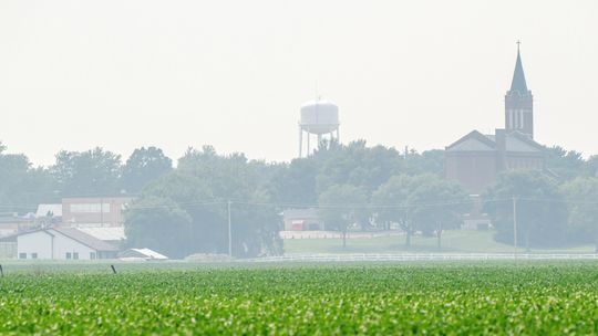 Muddy haze