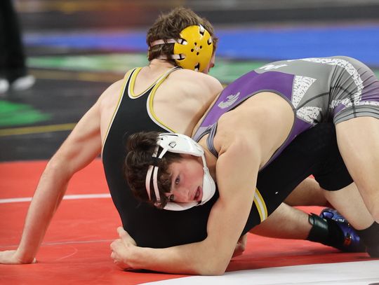 HNS wrestlers compete at State