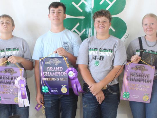 Area residents compete at Wayne