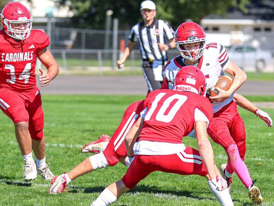 ‘Battle of the Cards’ goes to St. Mary’s