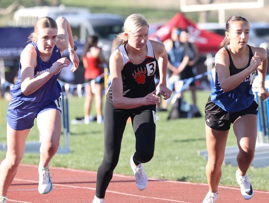 Bear golfers compete in GNAC meet