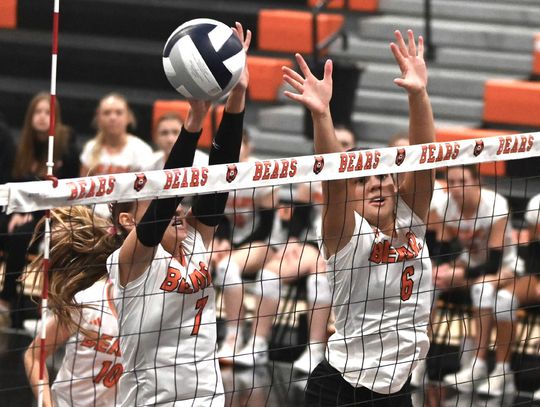 Bear runners grab ticket to State
