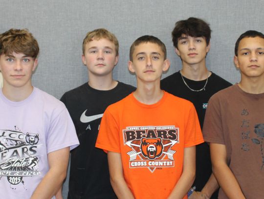 Bears fall to late Summerland rally