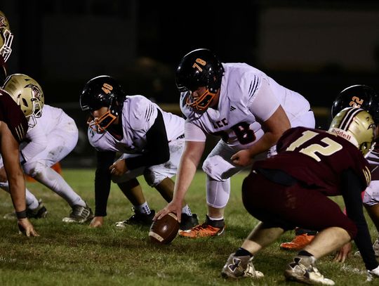 Bears maul Cougars, set up showdown with Jaguars