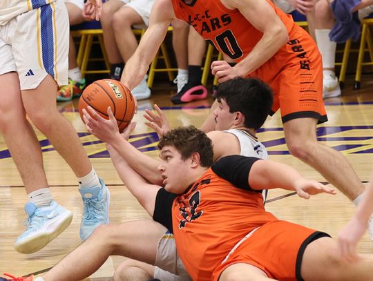 Bears split in weekend openers