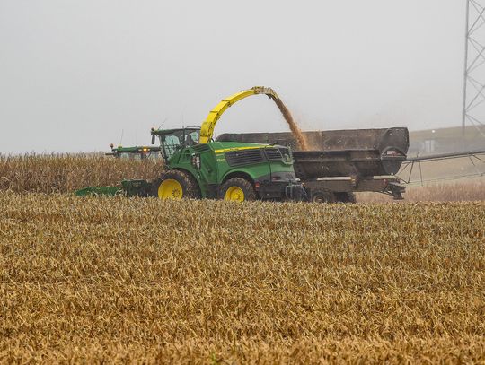 Bringing in the harvest