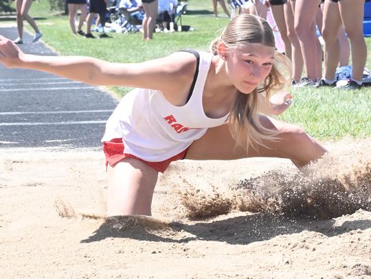 Cardinal tracksters wrap up season at District meet