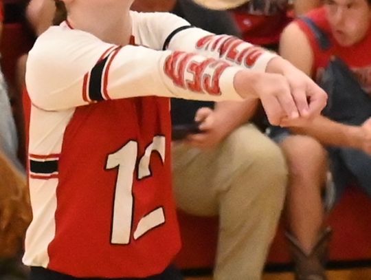 Cedar Catholic - LCC VB Photos