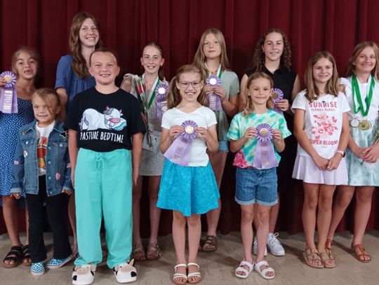 Cedar County 4-H members take part in Pre-Fair Day activities