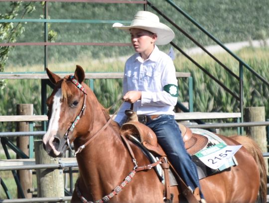 Cedar County Fair Horse Show
