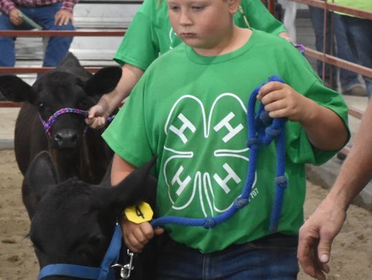 Cedar County Fair - Thursday 4H Shows