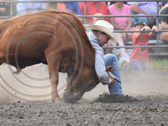 Cedar County Rodeo