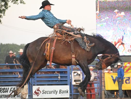 Cedar County Rodeo