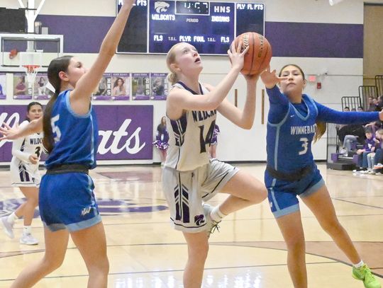 Cedar girls top Battle Creek to earn first-round win