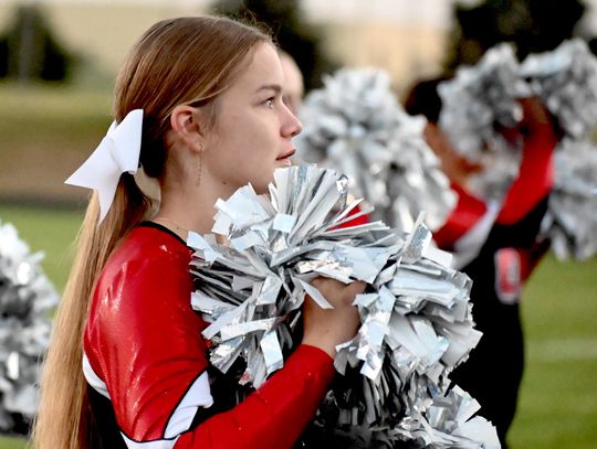 Cheering on the team