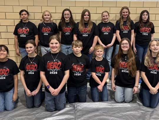 Committee advances one-word tweak to Nebraska Constitution on citizen voting