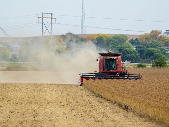 Crops out of the fields
