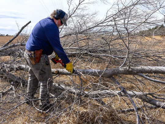 Cutting through the noise