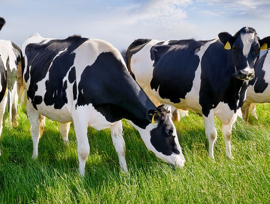 Dairy Month is an important time in Nebraska