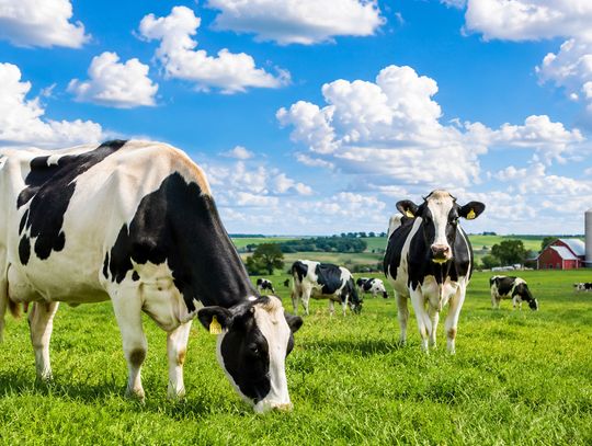 Dairy Month puts spotlight on Nebraska farm families