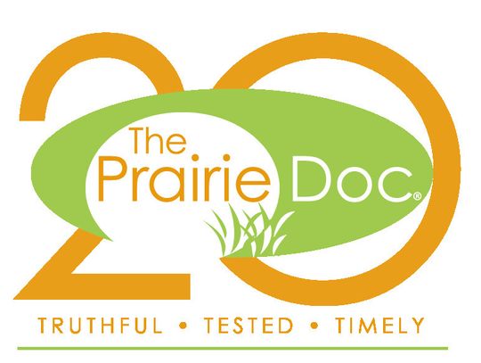 Dental decay is the most common chronic disease in the U.S.