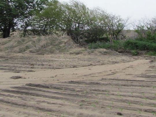 District officials concerned about sodbuster impacts