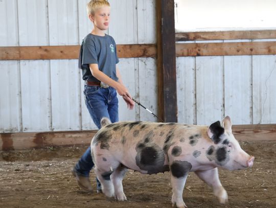 Dixon County 4-H Fair Results by Club