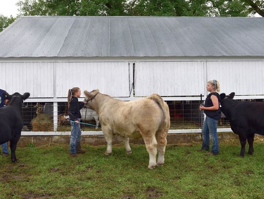 Dixon County Fair