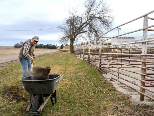 Early spring clean up