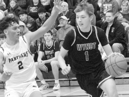 Elite scorers and traditional powers headline D2 field