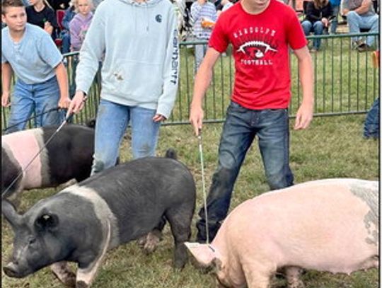 	Exhibitors earn ribbons at Community Fair livestock show