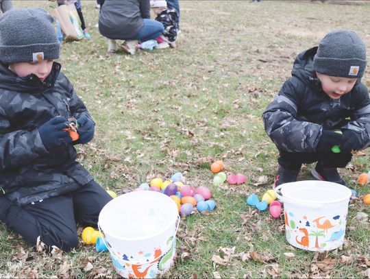 Eyeing their goodies