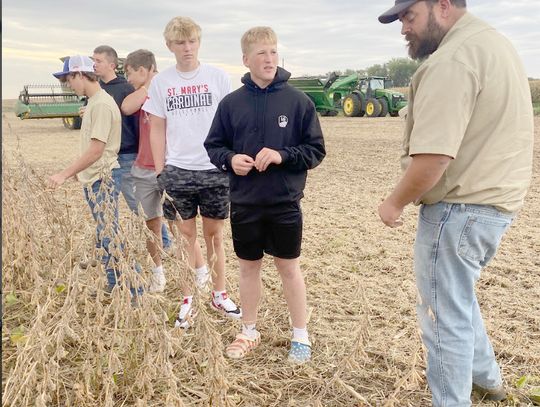 FFA members look at harvest time on their test plot