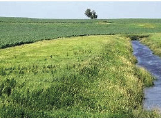 Funds available to establish buffer strips