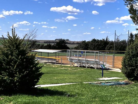 Grant helps new trees take root at sports complex