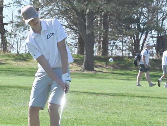 Gratzfeld earns trip to State golf