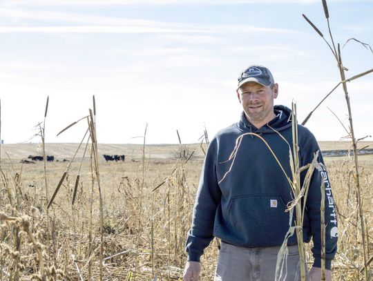 Hartington farmer redefines traditional agriculture through conservation