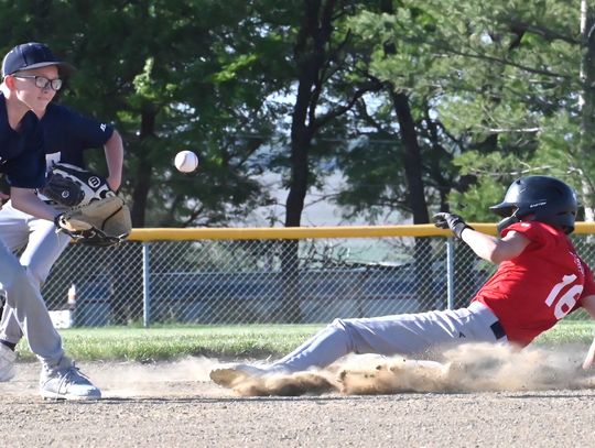 Hartington Red sinks Navy