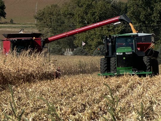 Harvest underway