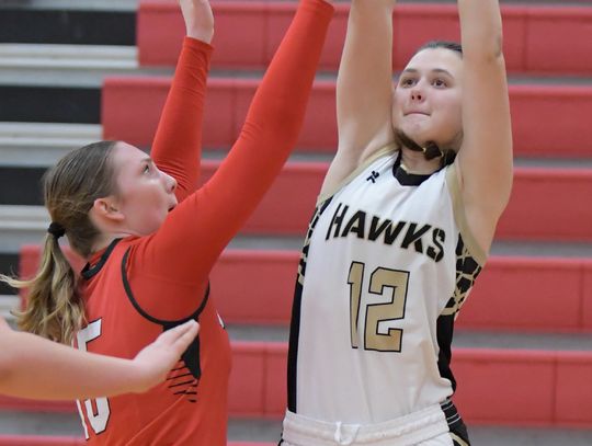 Hawks claim silver in tourney