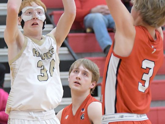 Hawks fall to Trojans, earn second in Wausa tournament