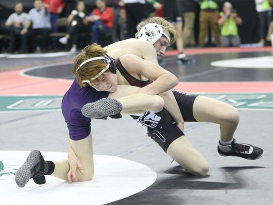 Heine shines in State wrestling tournament debut