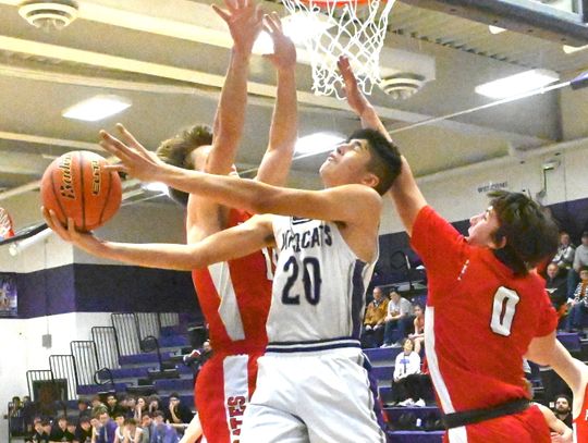 HNS Boys basketball vs Plainview