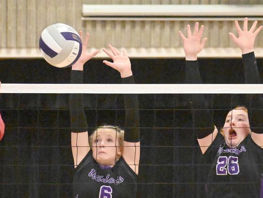 HNS Lady ‘Cats post a 1-2 mark for the week