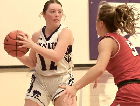 HNS Lady Wildcats hit a dry spell